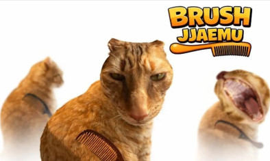 Brush Jjaemu img