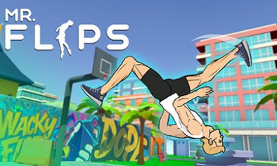 Mr Flip img