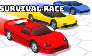 Survival Race img
