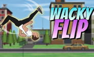 Wacky Flip img